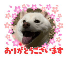 555205482