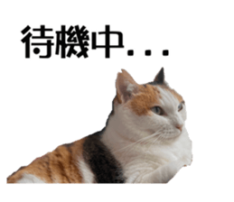 555223846