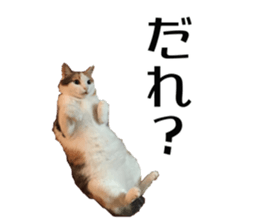 555223864