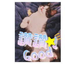 555227609