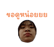 555228427
