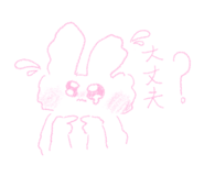 555232406