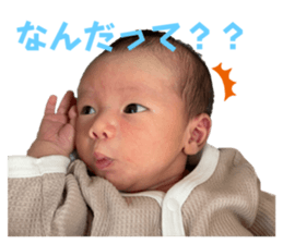 555244823