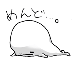 555252