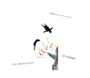 555252549
