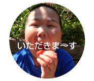 555253294