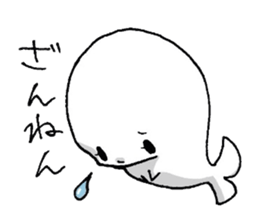555258