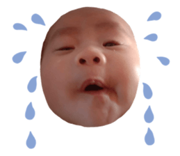 555259173