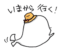 555262