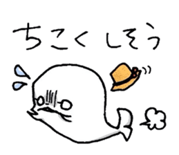 555264