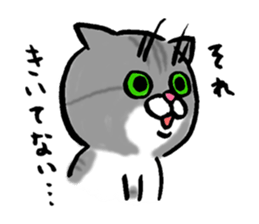 55527008