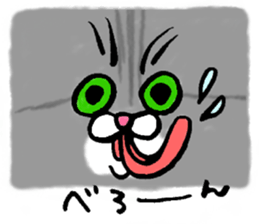 55527017