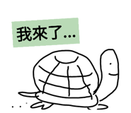 555271068