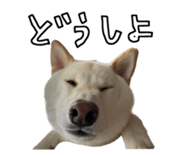 555272995