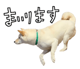 555273020
