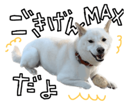 555273026