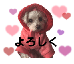 555275345