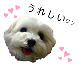 555275346
