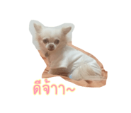 555287454