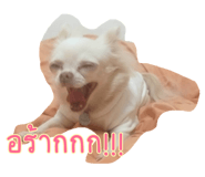 555287460