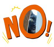 555301039