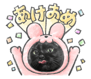 555301040
