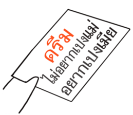 55531155