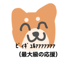 555325881