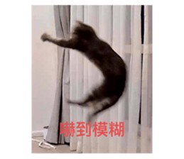 555327398