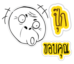 55533570