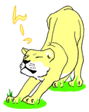 555364