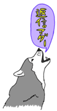 555368