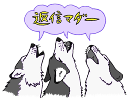 555369