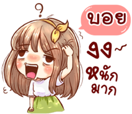 55537978