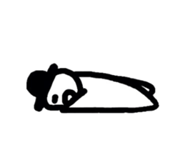 5553826