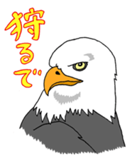 555383