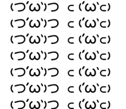 55538654
