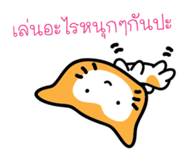 5554028