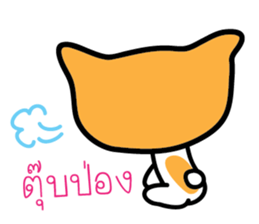5554029