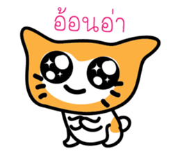 5554036