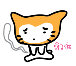 5554038