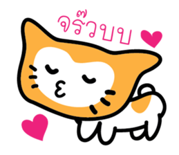 5554039