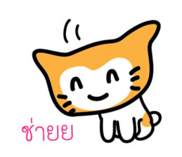 5554044