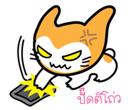5554048