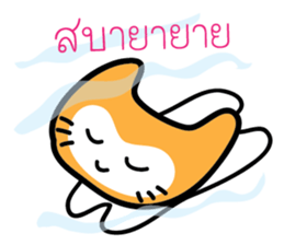 5554049