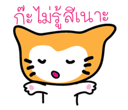 5554050