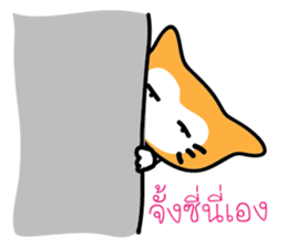 5554051