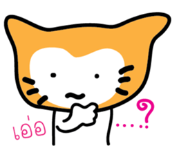 5554052