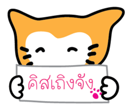 5554059