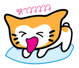5554065